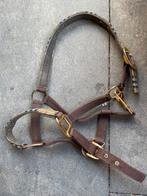 Burberry halster shetland, Ophalen of Verzenden, Gebruikt, Overige soorten