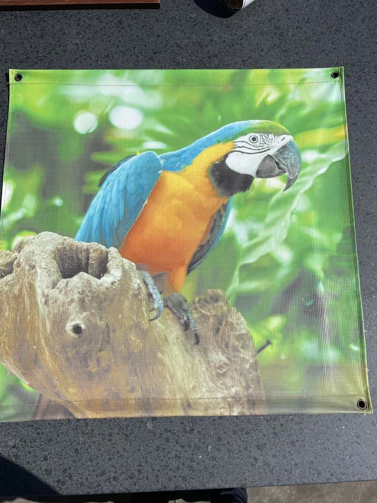Fraaie tuinposter blauw-gele ara 60x60cm, Tuin en Terras, Tuinwanddecoratie, Ophalen, Zo goed als nieuw
