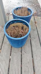 Twee blauwe bloempotten met Japans bloedgras, Ophalen, Rond, Aardewerk, Minder dan 40 cm