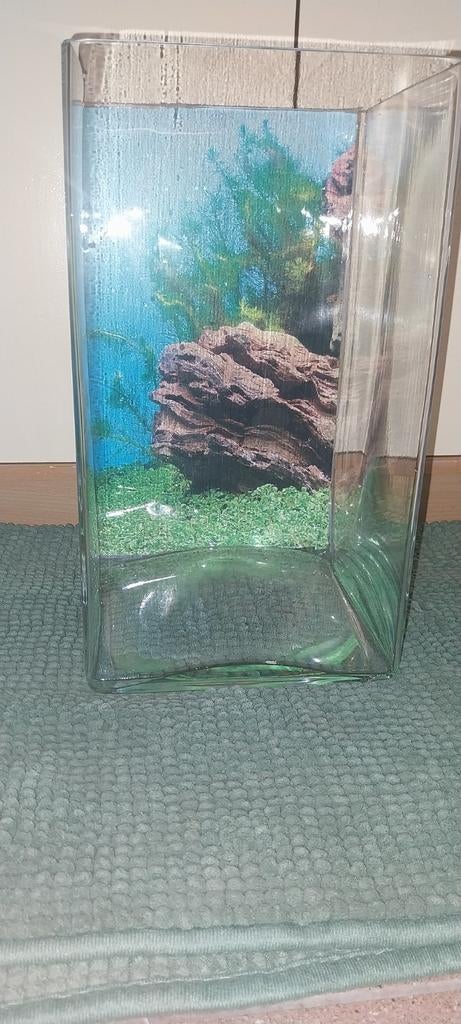 Aquarium, Ophalen of Verzenden, Zo goed als nieuw, Leeg aquarium