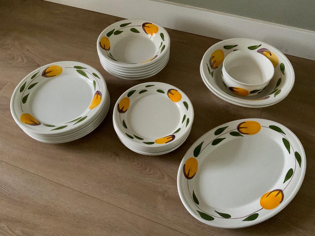 Leuk servies in goede staat!, Huis en Inrichting, Keuken | Servies, Ophalen of Verzenden, Zo goed als nieuw, Bord(en), Overige stijlen