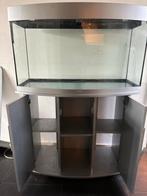 Jewel aquarium 180 liter, Ophalen, Gebruikt, Leeg aquarium