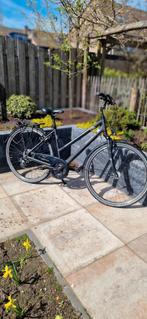 Damesfiets Pegasus Piazza hybride trekking 53inch, Ophalen, Meer dan 20 versnellingen, Overige merken