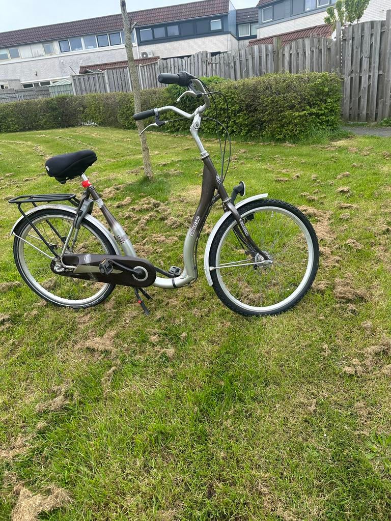Comfortabele Damesfiets met Lage Instap, Fietsen en Brommers, Fietsen | Dames | Damesfietsen, Terugtraprem, 50 tot 53 cm, Ophalen