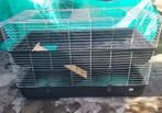 Dubbel groot konijnenhok cavia binnen, Dieren en Toebehoren, Ophalen, 110 cm of meer, 90 cm of meer, Hok