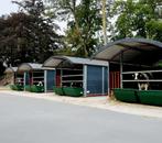 Boogstal kalverhuisvesting – groepshok buiten 5 kalveren, Stalling, 4 paarden of pony's of meer