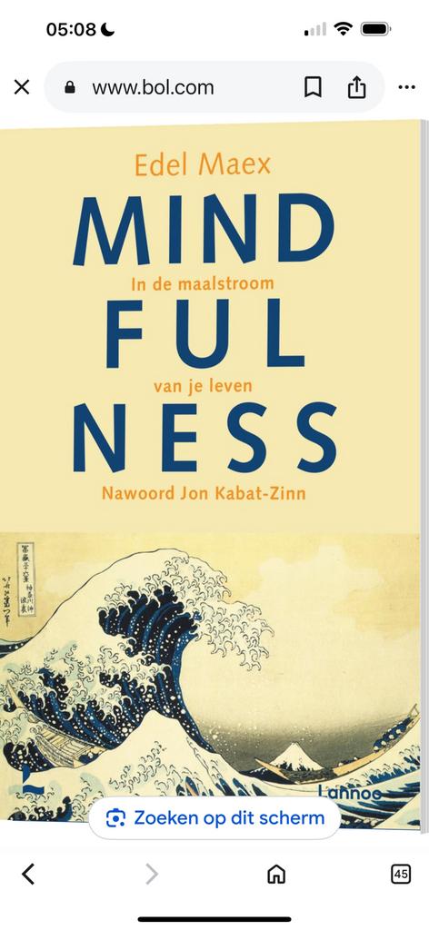 Mindfullness in de maalstroom van je leven, Ophalen of Verzenden, Zo goed als nieuw