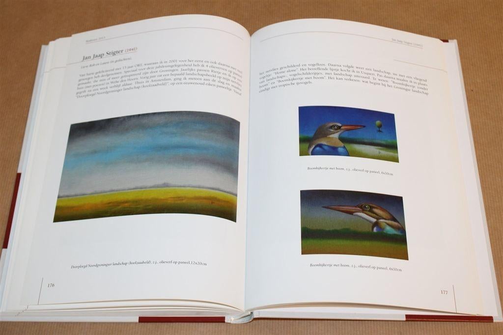 Realisten 2013 — Cat. Museum Møhlmann — Rijk geïllustreerd, Boeken, Ophalen of Verzenden, Zo goed als nieuw