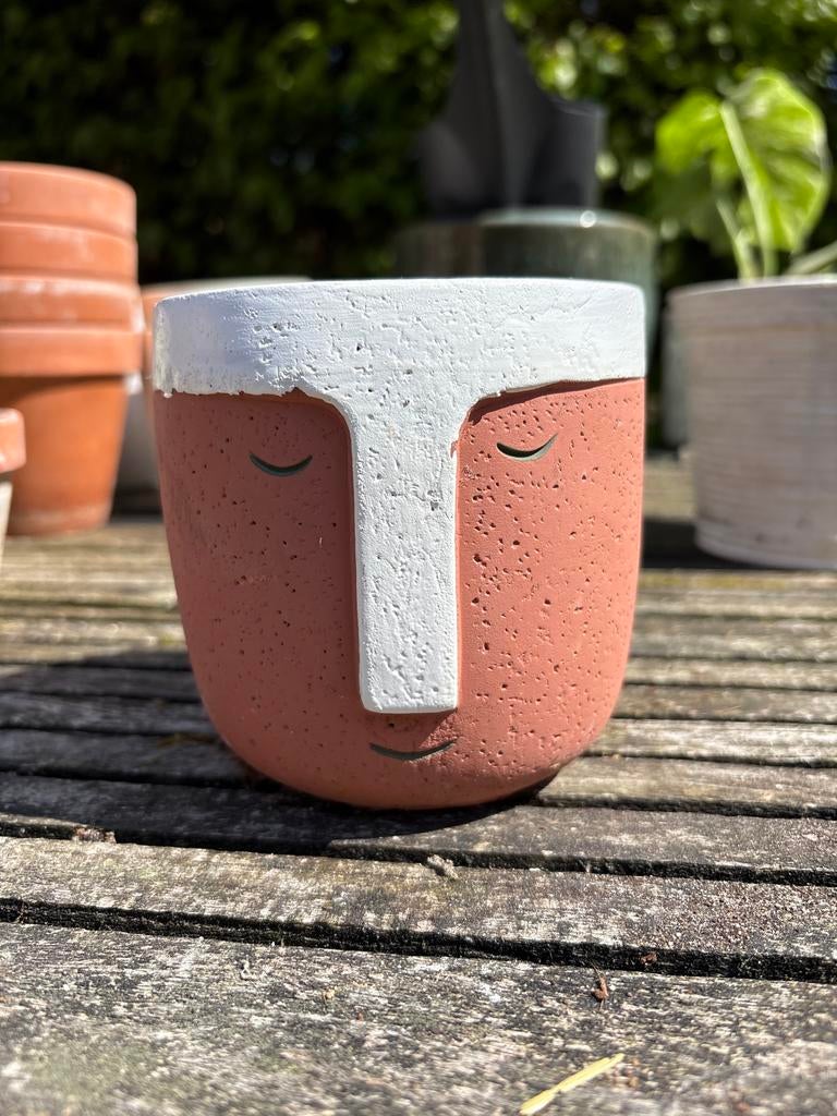 bloempot van Intratuin, Tuin en Terras, Bloempotten, Zo goed als nieuw, Terracotta, Binnen, Minder dan 40 cm, Minder dan 25 cm