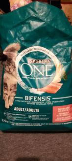 KATTEN VOER (Gevarieerd), Ophalen, Kat