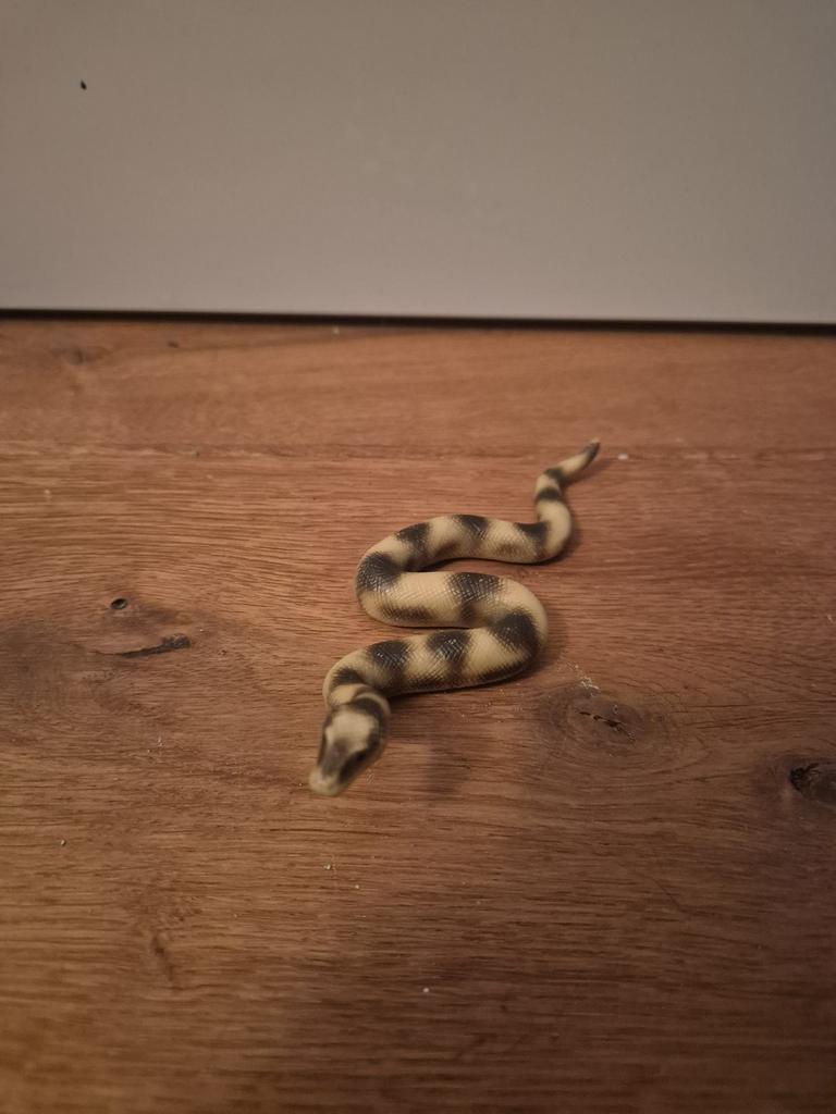 Schleich slang, Verzamelen, Dierenverzamelingen, Ophalen of Verzenden, Zo goed als nieuw, Reptiel of Amfibie, Beeldje of Figuurtje