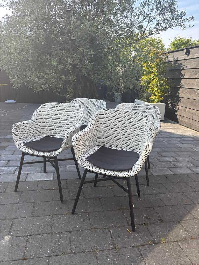 Set van 4 Hartman Delphine Dining Tuinstoelen Zwart Wit Wick, Ophalen, Zo goed als nieuw, Wicker