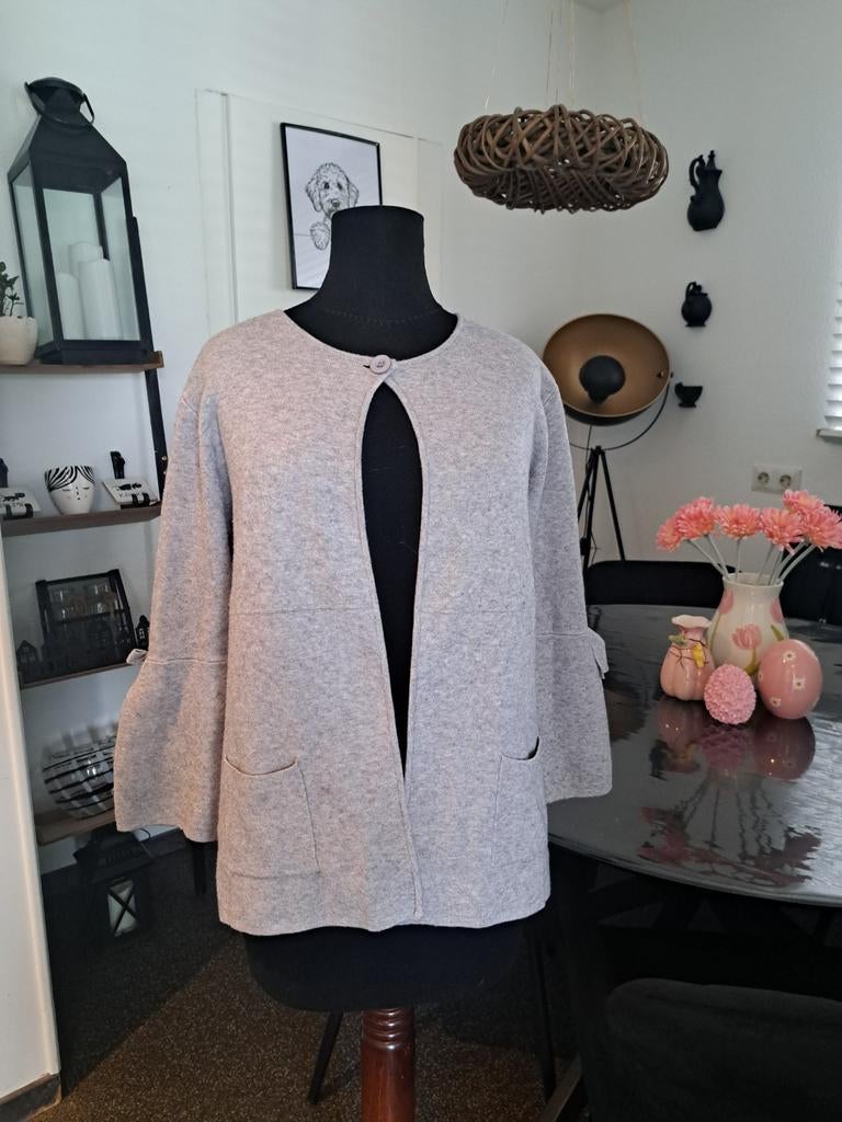 Grijs vestje Marinello mt m, Kleding | Dames, Maat 38/40 (M), Ophalen of Verzenden, Grijs, Gedragen