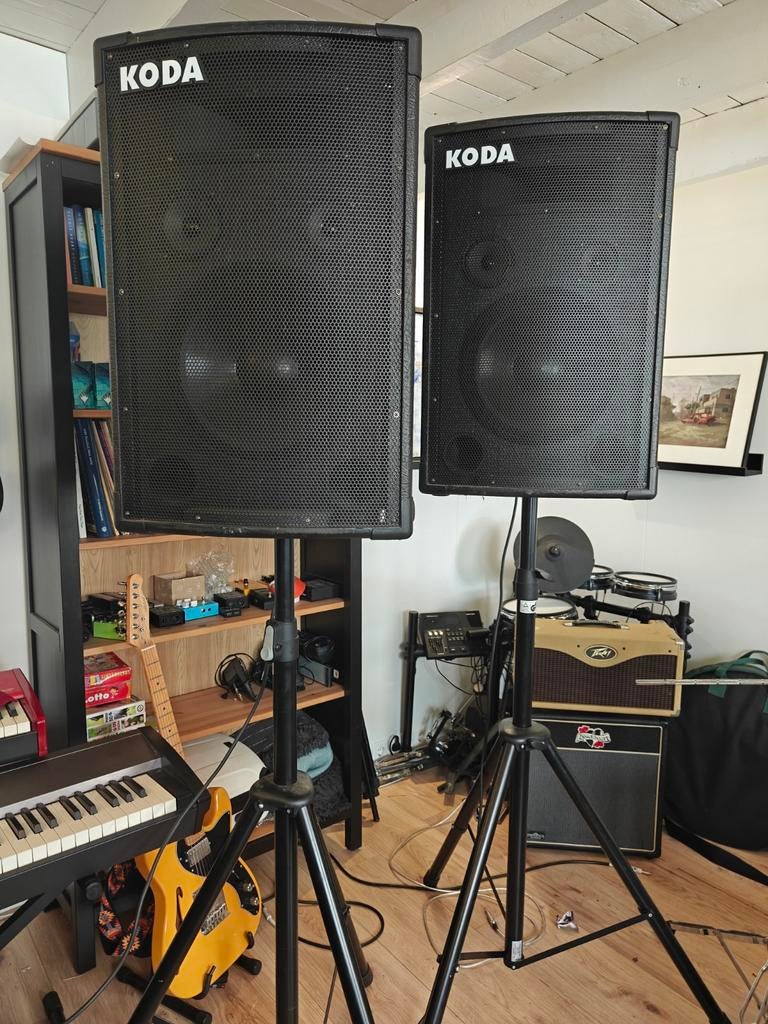 Compleet PA Systeem: Koda Speakers, t.amp Versterker, Stands, Ophalen