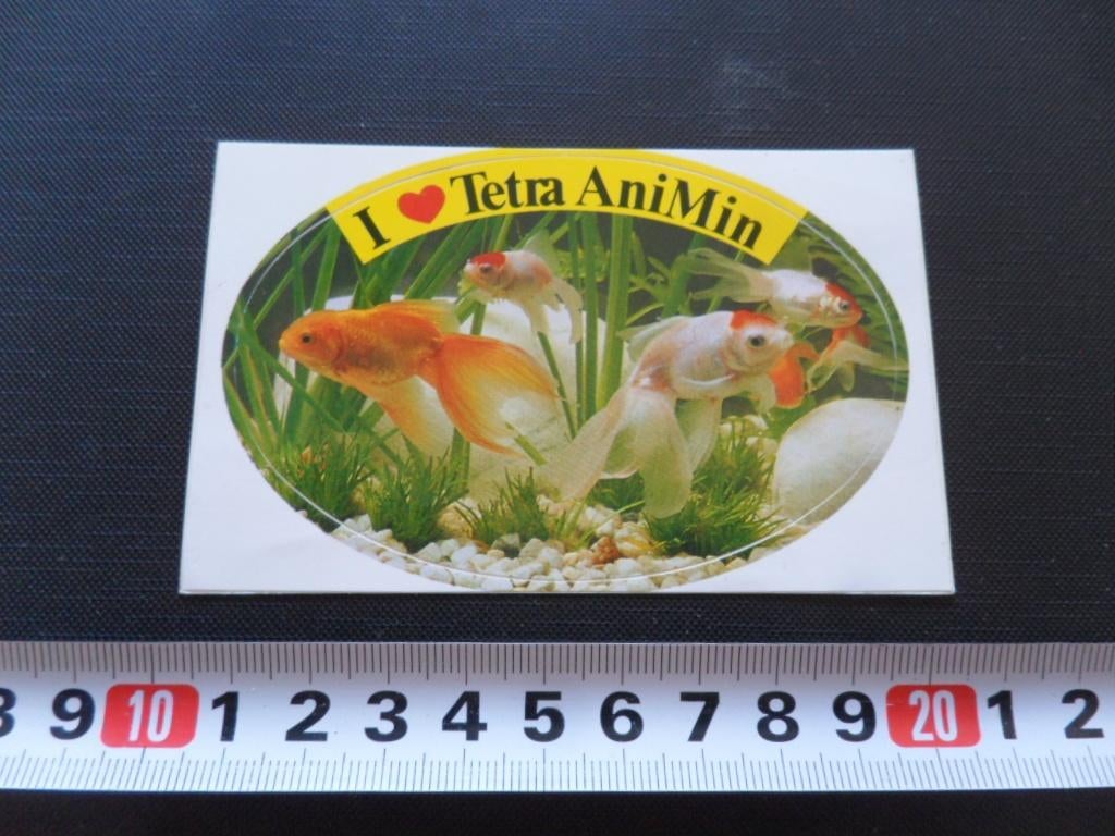 sticker goudvissen sluierstaart I LOVE TETRA ANIMIN *, Ophalen, Zo goed als nieuw