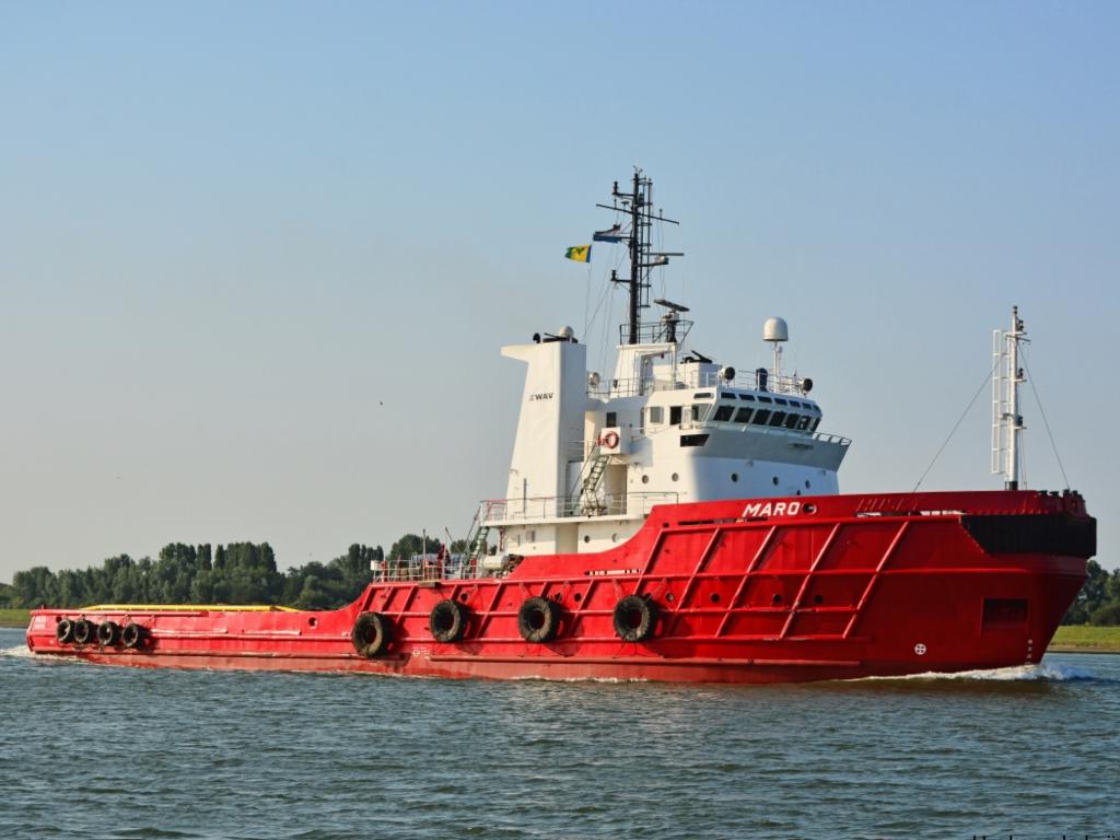 Zeesleper husky, Ophalen of Verzenden