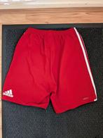 Korte broek Adidas heren - maat XS, Ophalen of Verzenden, Zo goed als nieuw, Maat 46 (S) of kleiner, Voetbal
