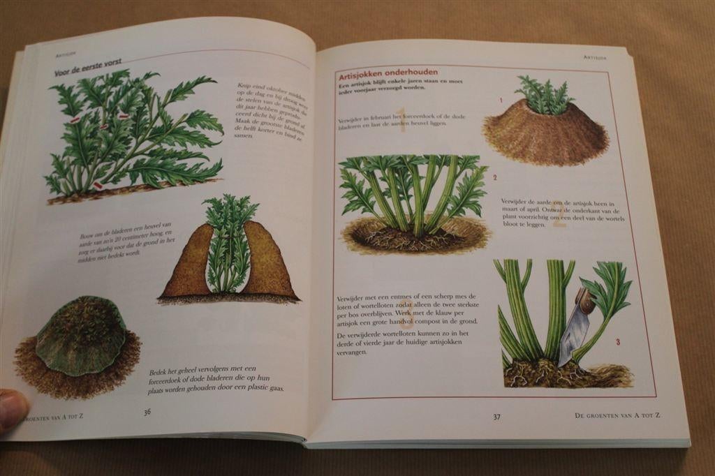 Groenten en kruiden kweken Compleet Handboek., Ophalen of Verzenden, Gelezen, Moestuin