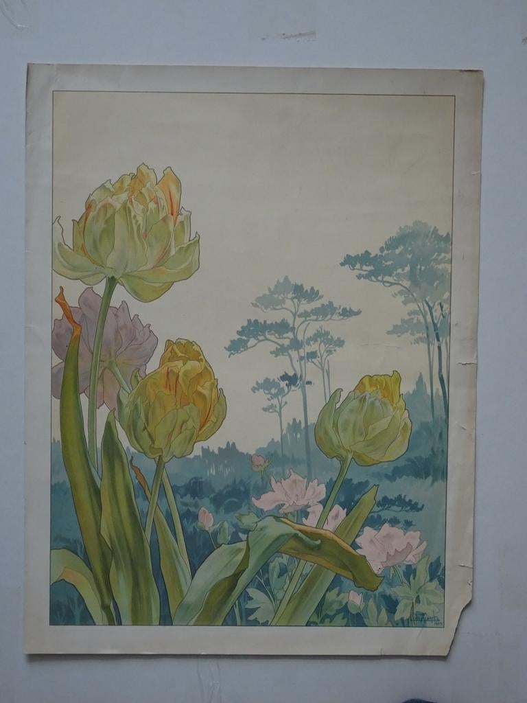 Privat Livemont Tulpen 1903, Ophalen