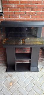 Aquarium met kast, Dieren en Toebehoren, Vissen | Aquaria en Toebehoren, Ophalen, Gebruikt, Leeg aquarium