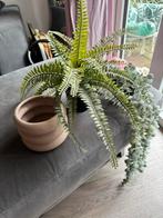 IKEA kunstplant met pot, Ophalen, Zo goed als nieuw, Binnen