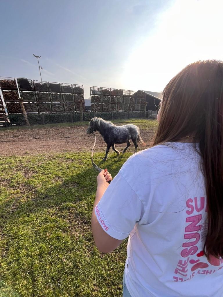 lieve Kinder pony licht bereden Wels, Dieren en Toebehoren, Pony's, Merrie, Met stamboom, A pony (tot 1.17m), 3 tot 6 jaar