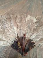 Antieke struisvogel waaier met schildpad - van overgrootmoed, Ophalen of Verzenden