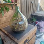 Grote glazen fles met planten - Terrarium, Huis en Inrichting, Gebruikt, Ophalen of Verzenden, Glas, 75 cm of meer