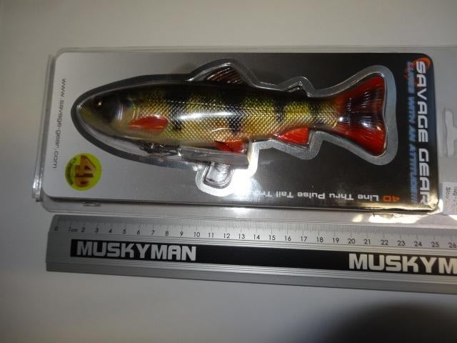 Kunstaas: Savage Gear 4D Line-Thru Pulse Tail Trout 20 cm, Watersport en Boten, Hengelsport | Roofvissen, Verzenden, Nieuw, Overige typen