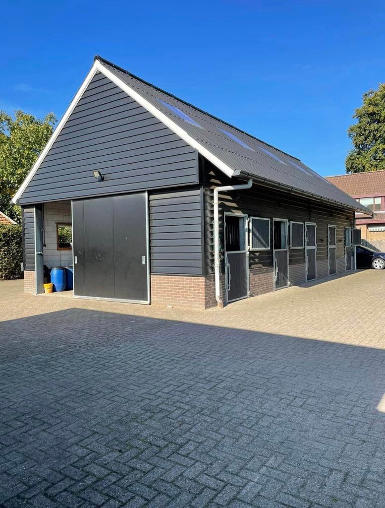 Per direct stal vrij in Hierden, Weidegang, 1 paard of pony