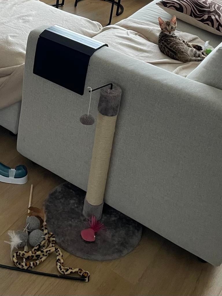 Mini krabpaal voor kitten, Dieren en Toebehoren, Ophalen, Krabpaal