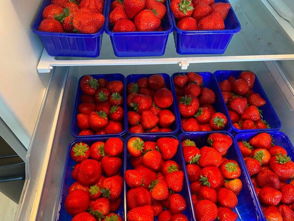Biologische aardbeien - €5 per bakje OP=OP, Diversen, Ophalen
