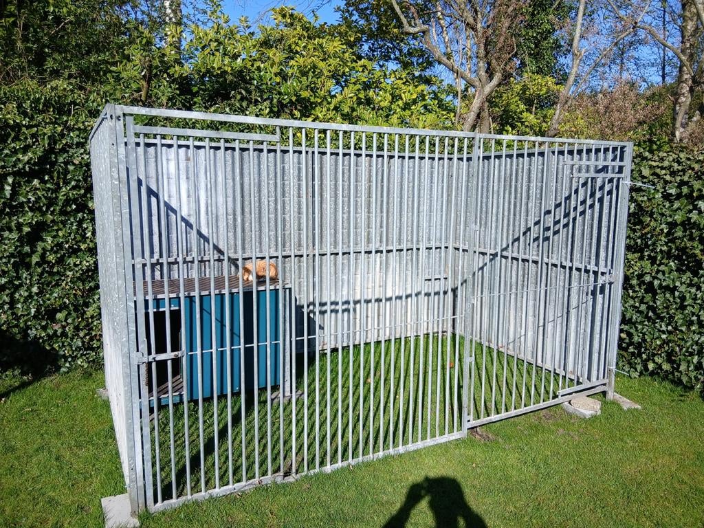 Honden kennel met nachthok, Dieren en Toebehoren, Hondenhokken, Ophalen, 110 cm of meer, 100 cm of meer