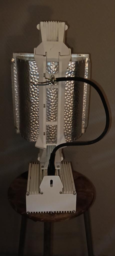 16x Gavita 1000W +dubbel ended kweeklamp €75Pst, Ophalen of Verzenden, Kweeklamp