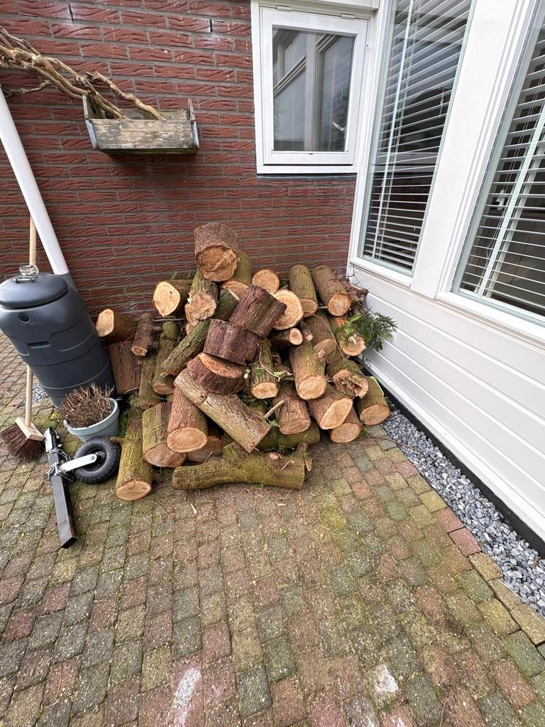 Dennenhout blokken, Tuin en Terras, Haardhout, Minder dan 3 m³, Ophalen, Overige houtsoorten, Blokken