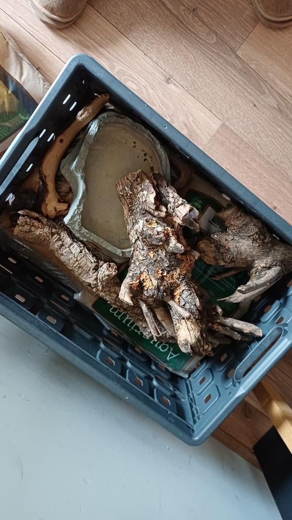 Terrariuminrichting gratis af te halen, Dieren en Toebehoren, Reptielen en Amfibieën | Toebehoren, Ophalen, Gebruikt, Tak, Plant, Rots of Steen