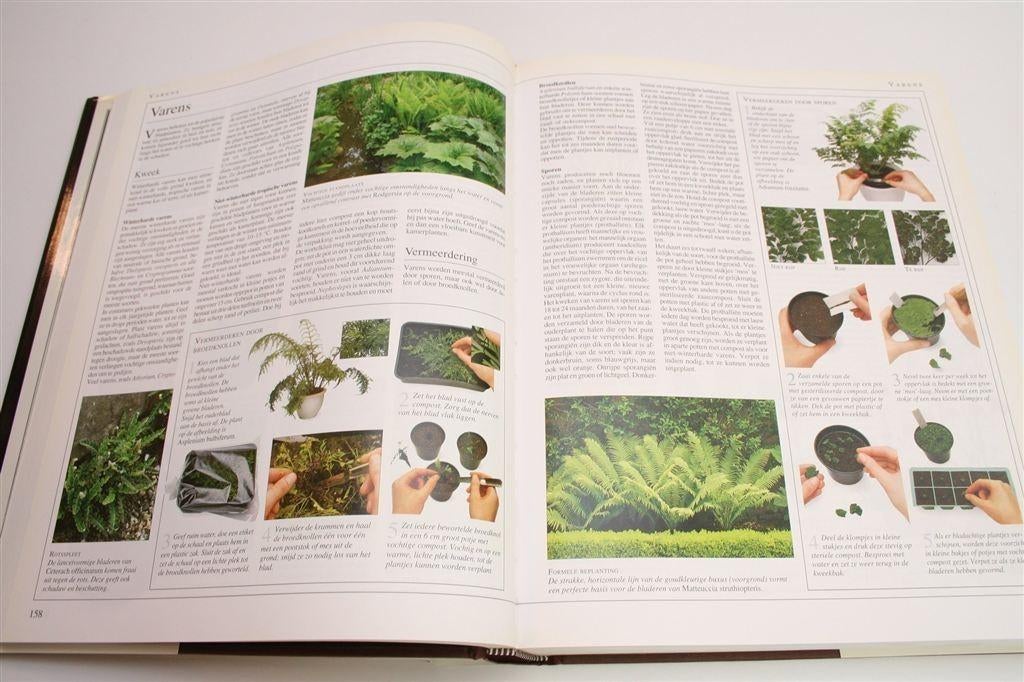 De Grote Atrium Tuinbijbel — Encyclopedie van het Tuinieren, Boeken, Ophalen of Verzenden, Gelezen, Tuinieren en Tuinplanten