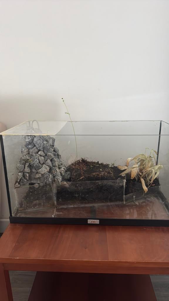Aquarium met ingebouwde pomp, Dieren en Toebehoren, Ophalen, Gebruikt, Plant(en), Steen of Hout