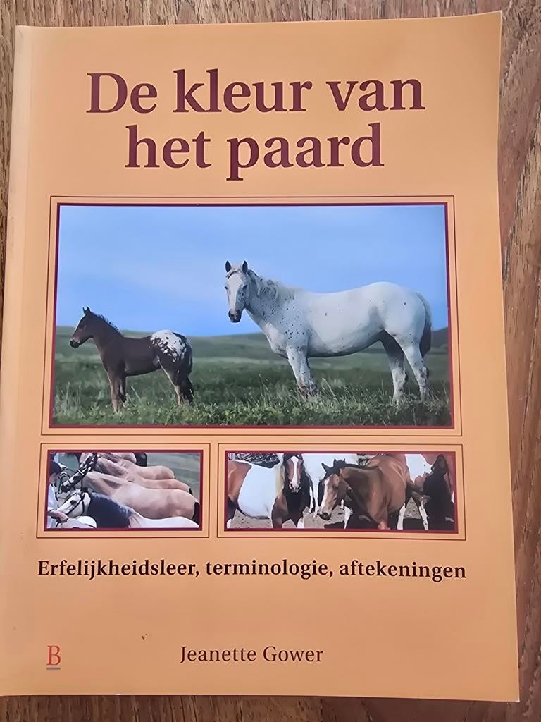 De kleur van het paard - Jeanette Gower, Boeken, Overige Boeken, Ophalen of Verzenden