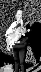 Duitse reuzen XXL lijn, Dieren en Toebehoren, Konijnen, Meerdere dieren, Groot, 0 tot 2 jaar