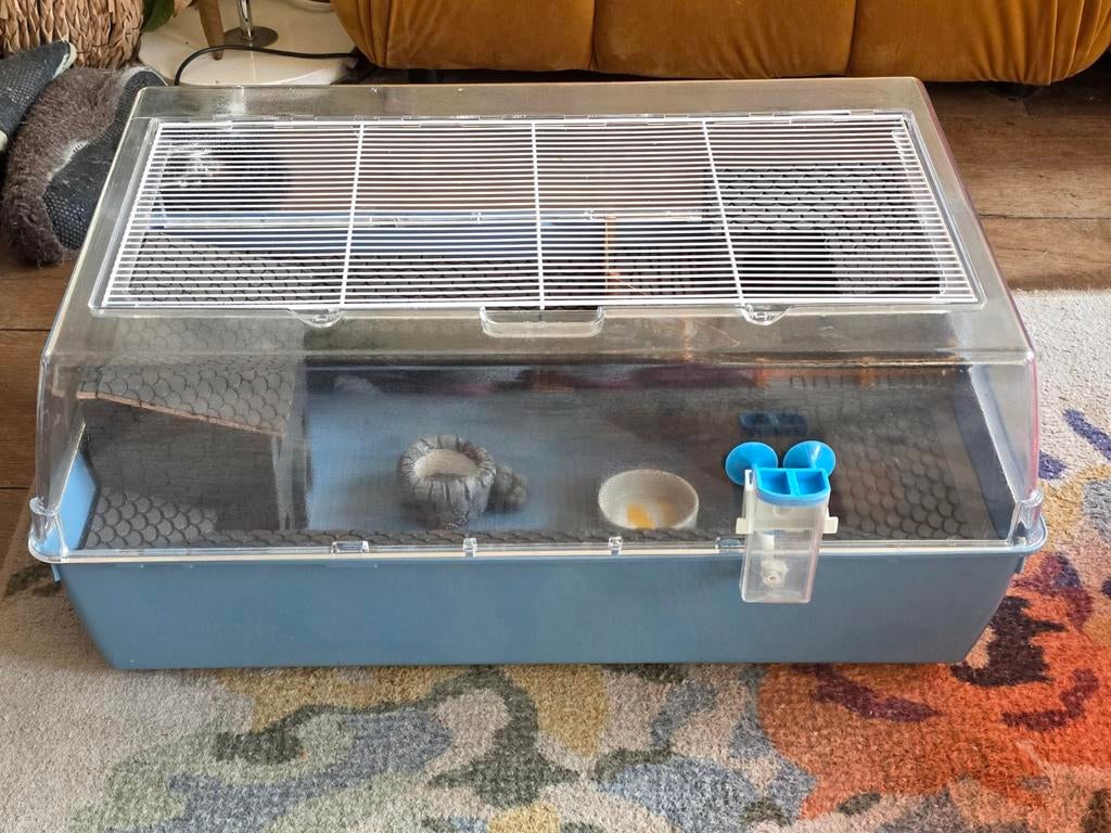 Hamsterkooi, Dieren en Toebehoren, Kooi, Gebruikt, Minder dan 75 cm, Muis