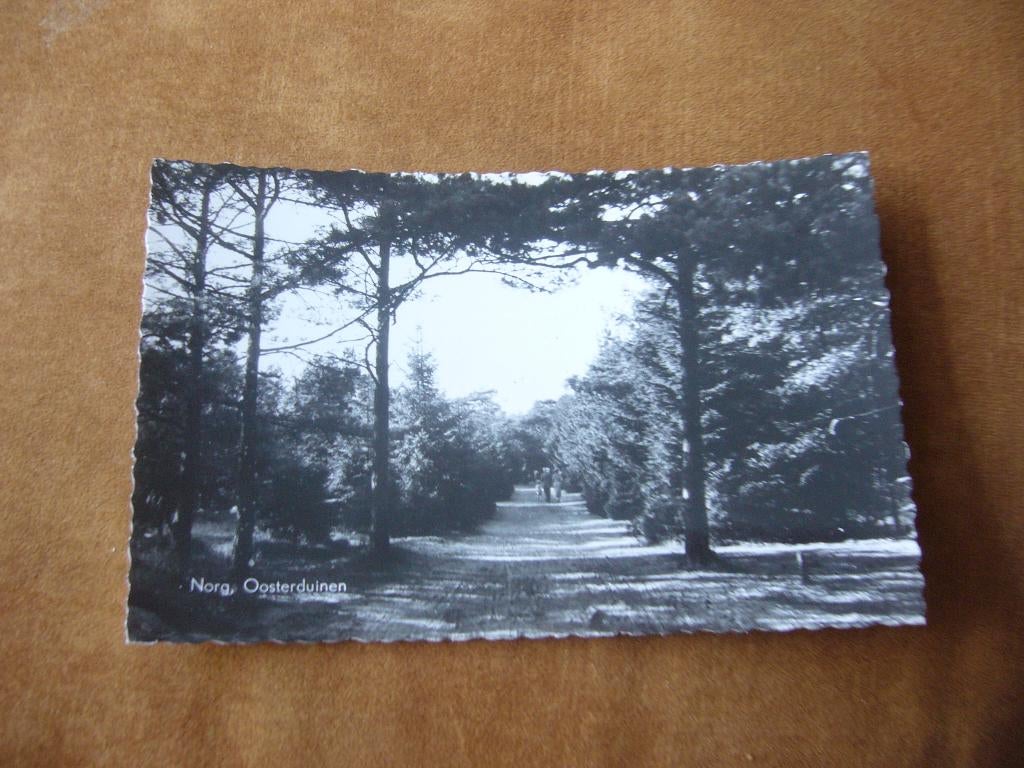 NORG  =  OOSTERDUINEN, Ophalen of Verzenden, 1940 tot 1960, Ongelopen, Drenthe