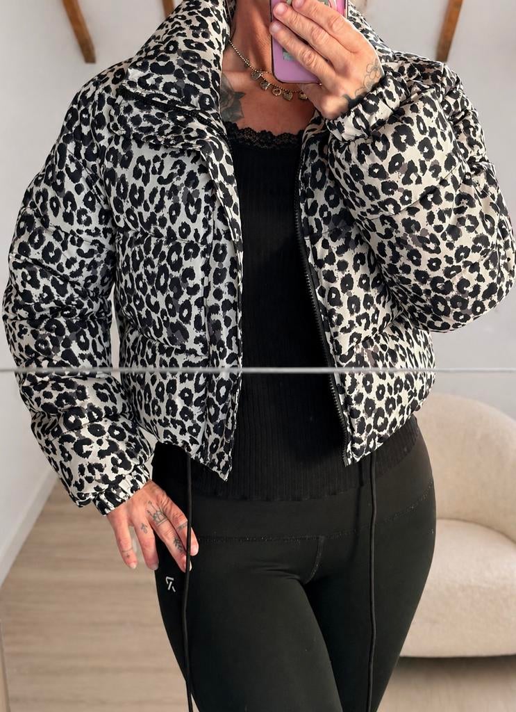 Cropped Jas Zwart/Creme, Kleding | Dames, Jassen | Winter, Ophalen of Verzenden, Zo goed als nieuw, Maat 42/44 (L), Zwart