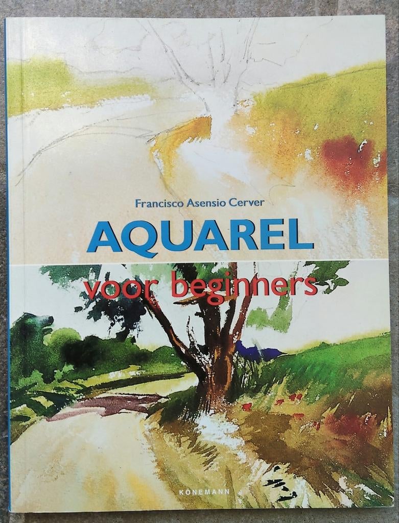 Aquarel voor beginners Francisco Asensio Cerver, Hobby en Vrije tijd, Schilderen, Ophalen of Verzenden