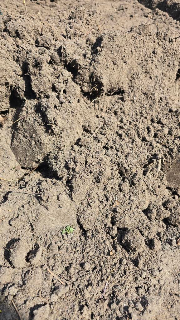 Zwarte grond, ongeveer 4 kuub GRATIS, Tuin en Terras, Ophalen