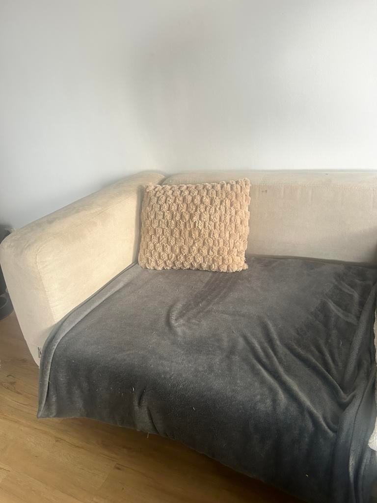 Slaapbank velvet beige, Huis en Inrichting, Slaapkamer | Slaapbanken, Ophalen, Gebruikt, Beige, Tweepersoons