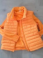 Leuke zomerset Nieuw Marccain!, Kleding | Dames, Bodywarmers, Ophalen of Verzenden, Zo goed als nieuw, Maat 36 (S)
