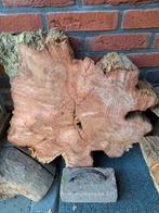 Decoratieve Houtschijf - Uniek Stuk, Minder dan 3 m³, Ophalen of Verzenden, Overige houtsoorten, Blokken