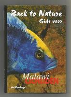 Back to Nature Gids voor Malawi Cichliden - Ad Konings, Ophalen of Verzenden, Nieuw, Vissen