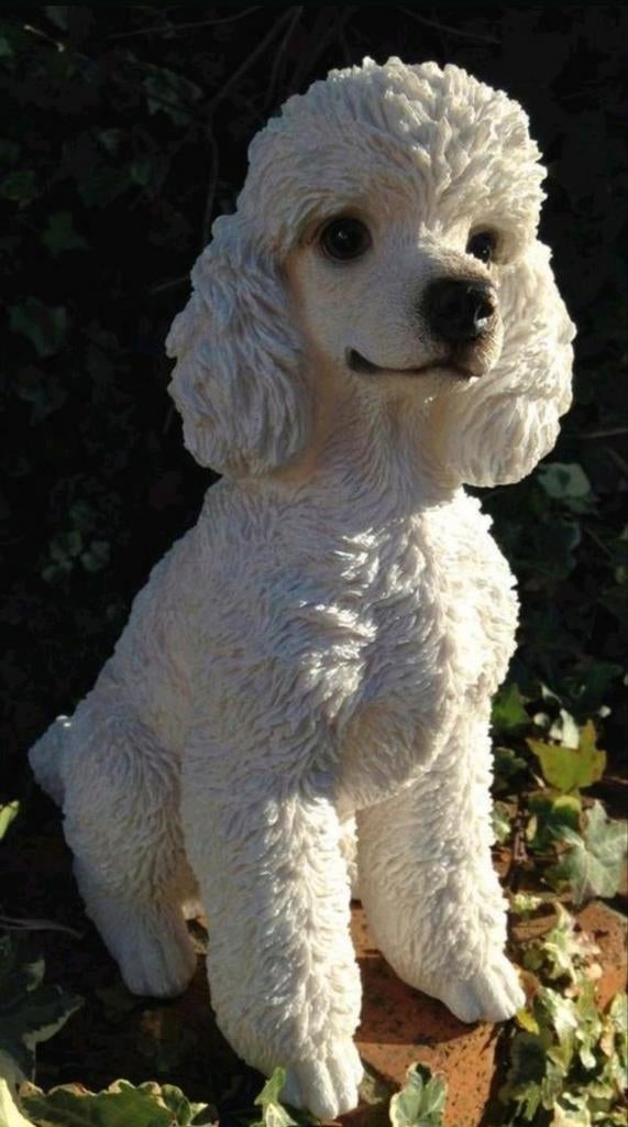 Tuinornament witte toypoedel afmeting H32X27X15 cm, Ophalen, Zo goed als nieuw, Kunststof, Dierenbeeld